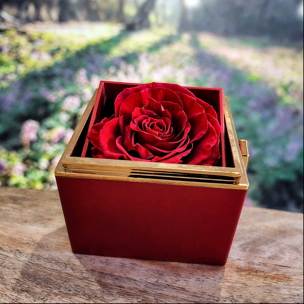 To My Beautiful Mom